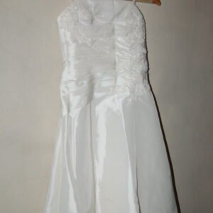 Phoenix Gowns R284